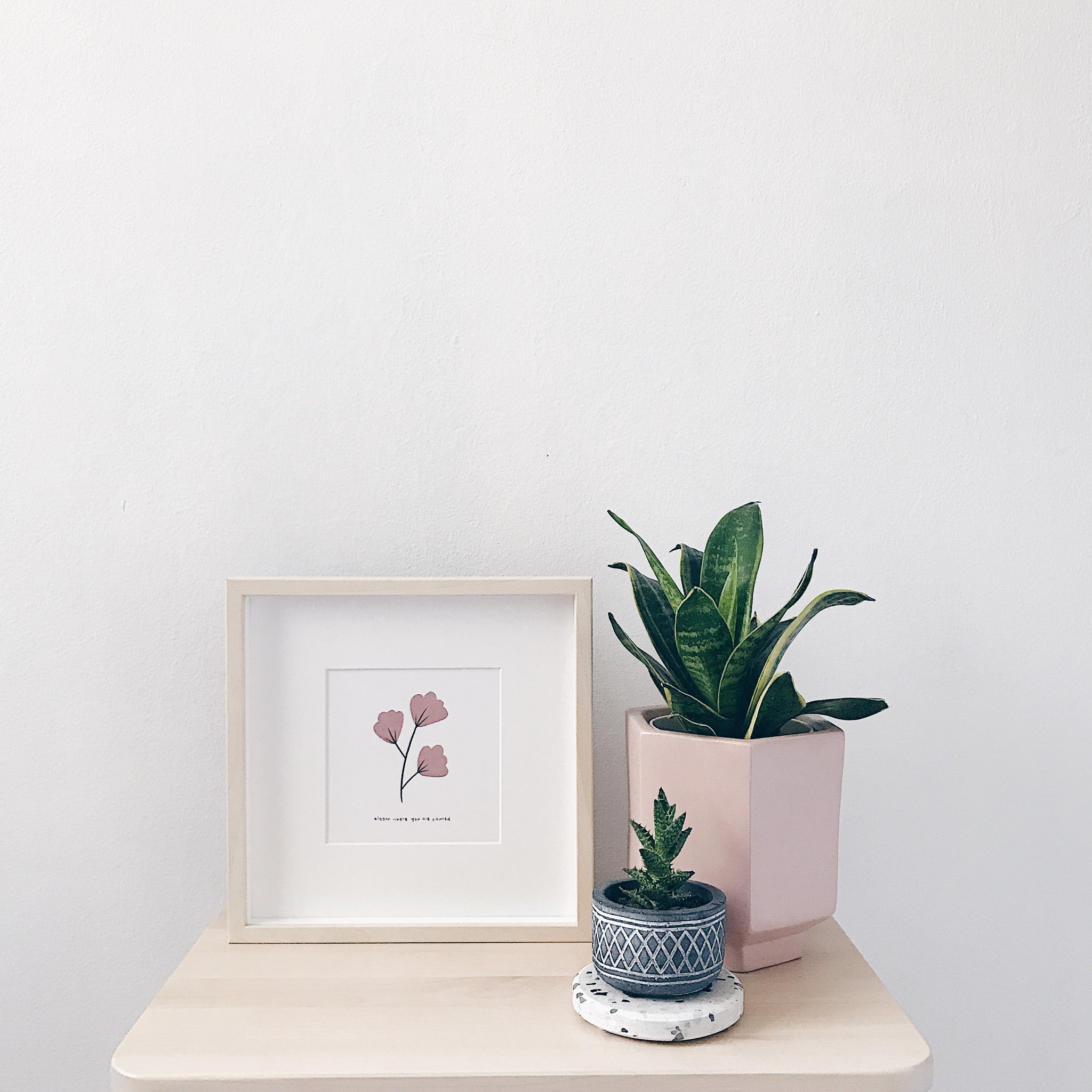 The Alam Series : Dusty Pink