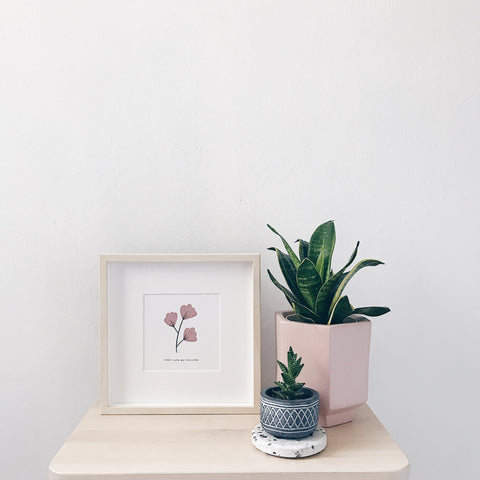 The Alam Series : Dusty Pink