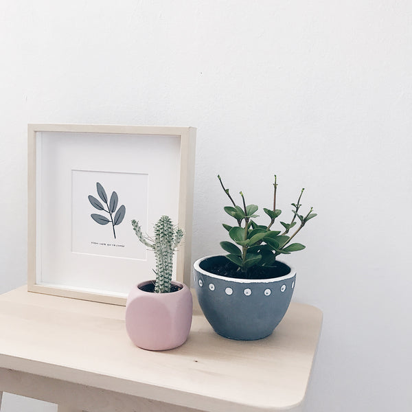 The Alam Series : Dusty Green