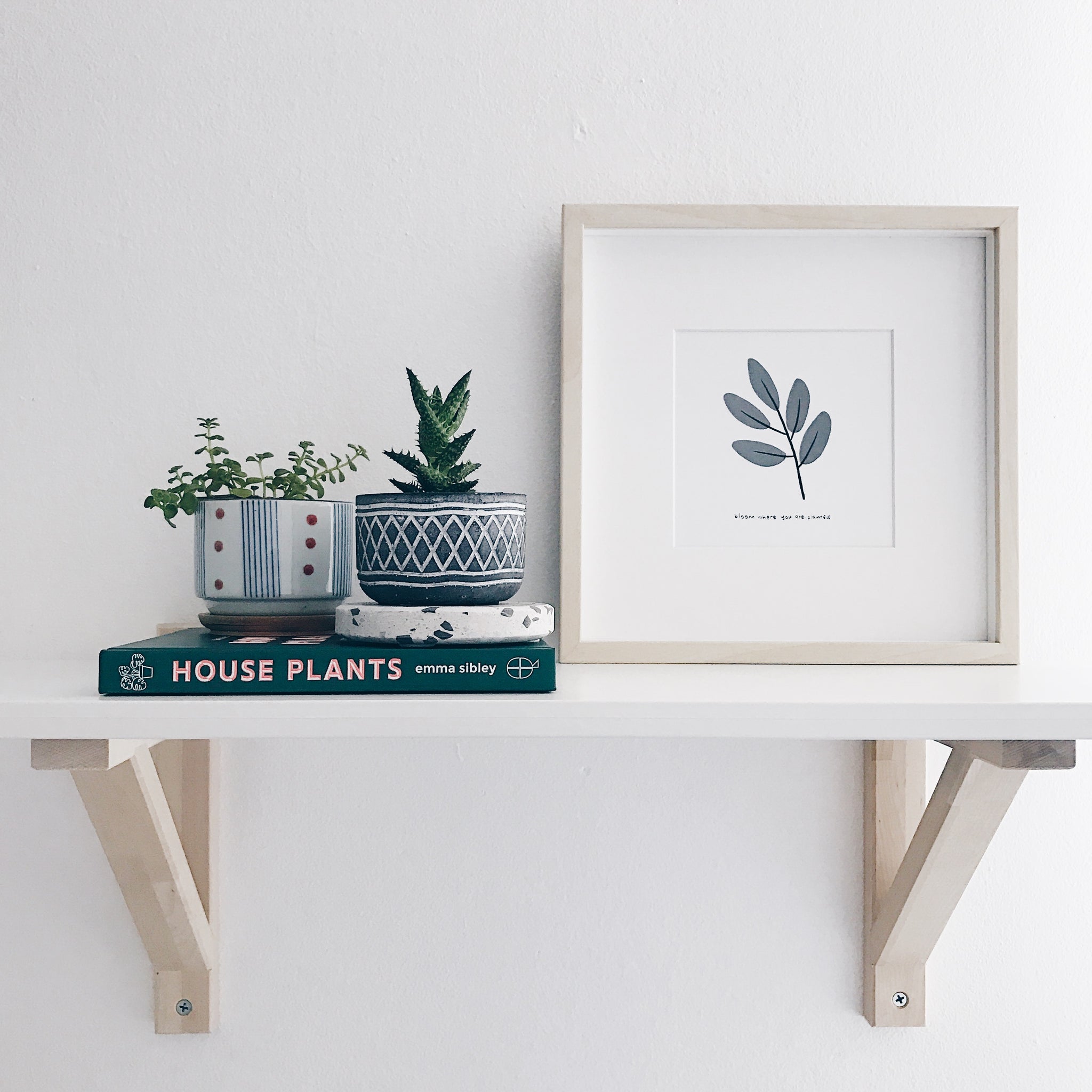 The Alam Series : Dusty Green